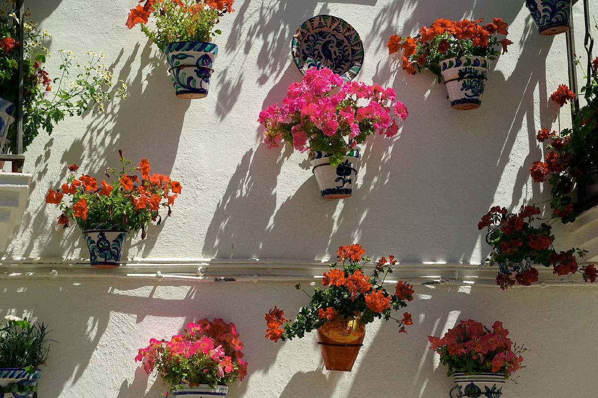 Arredare con i gerani, idee e spunti per gli spazi esterni